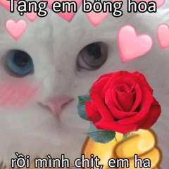 Nonstop Ngày Phụ Nữ Việt Nam - 20/10/2025