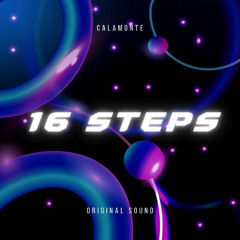 16 STEPS