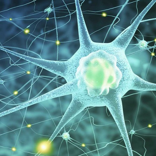 Peripheral Neuropathy Treatment | Reduce Pain and Discomfort & Improve Muscle Functions