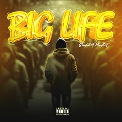 Big Life Ft Stakeblike Mp3