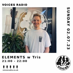 Voices Episode 14 w/ Tris