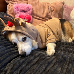 тревожим твой сон