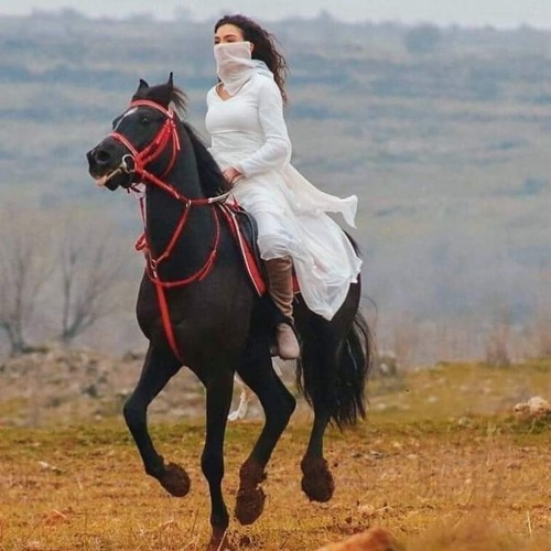!شاہ_فاروق_سیڈ_سونگ