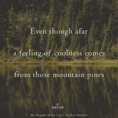 Even Though Afar ( Naviarhaiku 575 )
