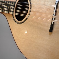 FLAT-top LS cittern, UNISON strung, rosewood & sitka spruce 2020