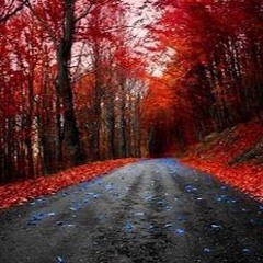 Seeing Red FEAT Simon Borg