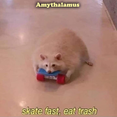 Skate Fast, Eat Trash