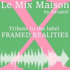 Framed Realities-LMM-Xavalex-2025-01-28