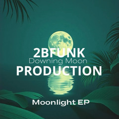 5 - 2bfunk - downing moon  - Moonlight sax Mix