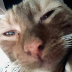 Hall Pass Monthly [HP03]