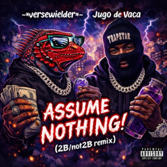 ASSUME NOTHING! (2B-not2B remix)