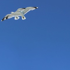 Hard Hitting Techno Set - Jo Nevark 21/10