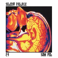 SP 24 with Sam Pel