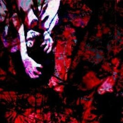 reidsixx - Nocturnal Hymnzz (full ep)