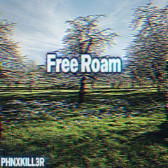 Free Roam
