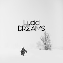 Lucid Dreams #41 by Darius Dudonis - MAKE LOVE NOT WAR