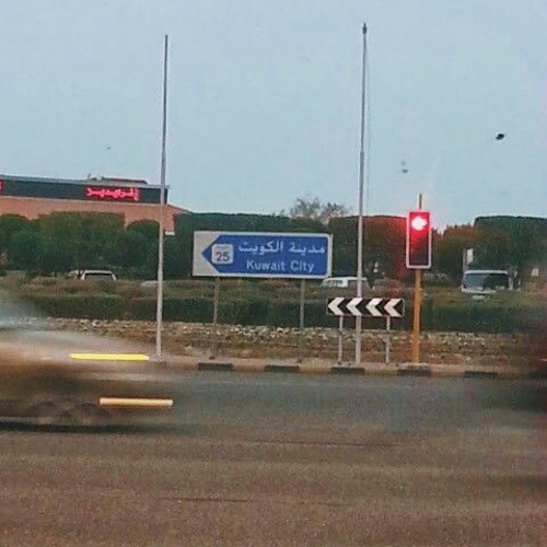هما شيبون منك؟