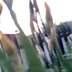 июнь.mp3 (демо)