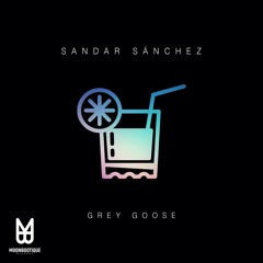 Sandar Sánchez - Backup (Original Mix)