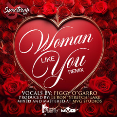 Woman Like You (Spectrum Band 2025) feat. Figgy O'Garro