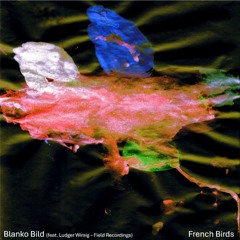 French Birds (feat. Ludger Wirsig - Field Recordings)