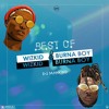 DJ Mankind - Best OF Wizkid & Burna Boy