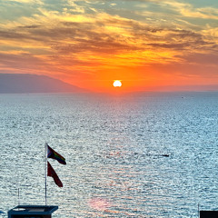 Find The Light Again