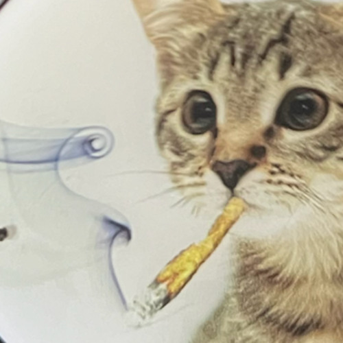 too deep in ma bag w m4xu prod skifytb and bbuggin