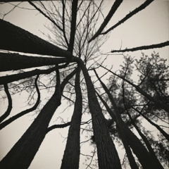 うしろ（what's behind me）