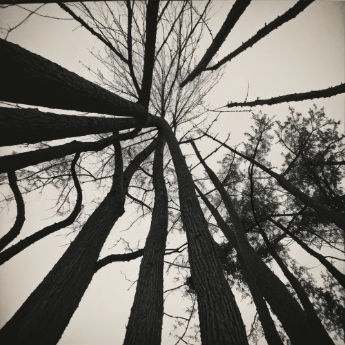 うしろ（what's behind me）