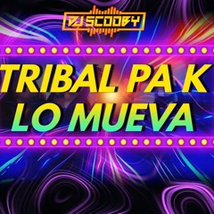Tribal Mix 2024 - DJ SCOOBY 214