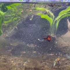 Round & Around Again