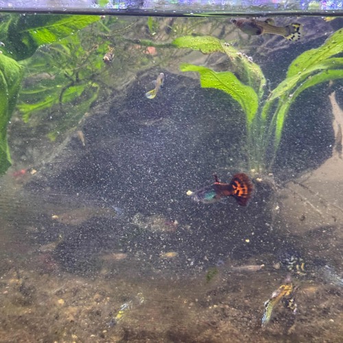 Round & Around Again