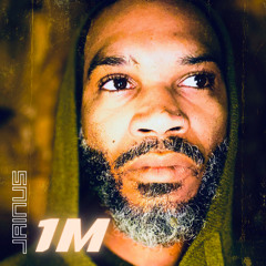 1M