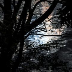 Hidden Color