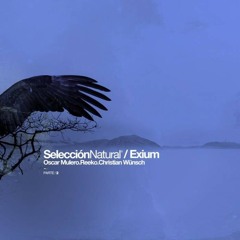 Exium - Selección Natural Parte 2 (Christian Wünsch Remix) [Nheoma Records]