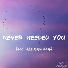 Never Needed You (feat. Alexandraa)