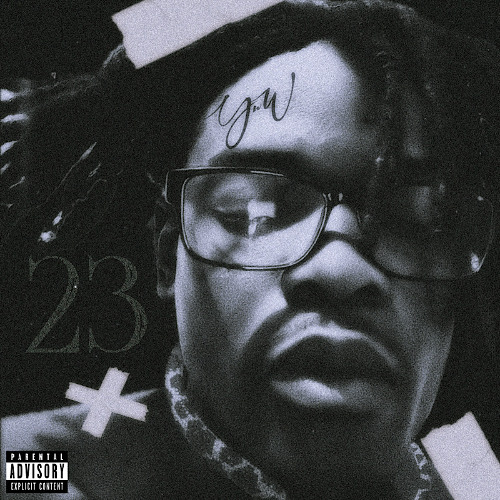 23