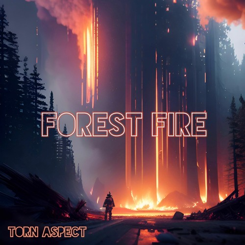 Forest Fire