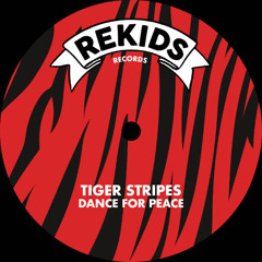 PREMIERE: Tiger Stripes - Rockin' [Rekids]