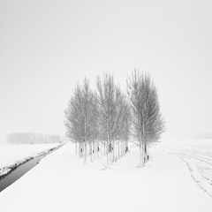 Cripure - Neige