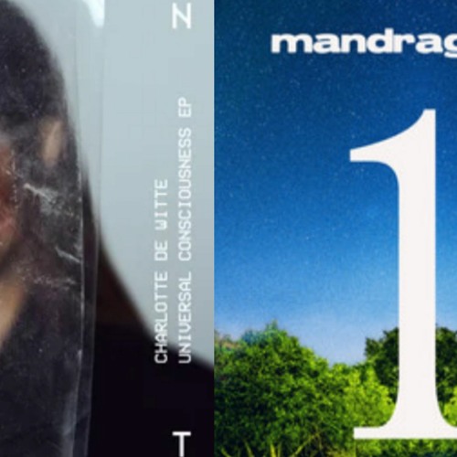 codeine (mandragora) x ahimsa (charlotte de witte)