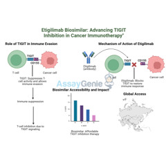 Etigilimab Unveiling the Role of Anti-TIGIT in Cancer Research