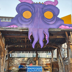 jungle vinyl set @ Sektor Sommergarten