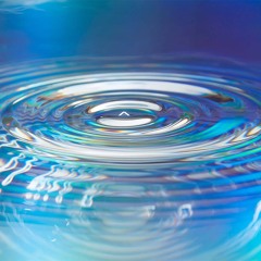 Session 105 / Intalopa