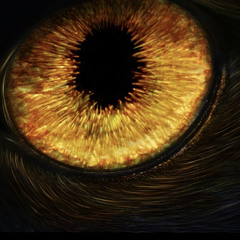 Tradg - 2020 vision meek mill challenge