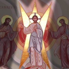 Homélie de la Transfiguration - Mgr Martin 2025