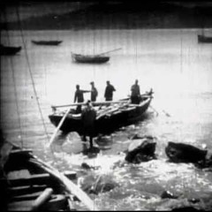 zapaska - nie ma ryby