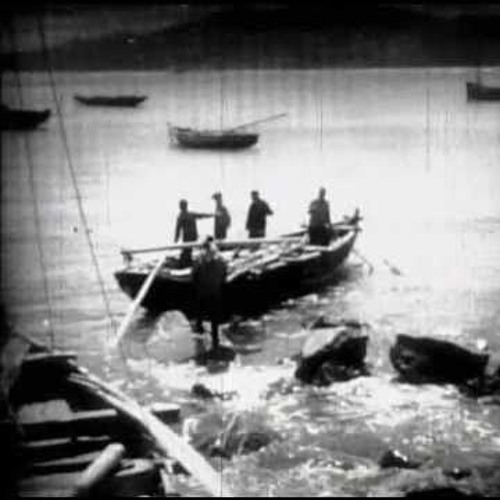 zapaska - nie ma ryby