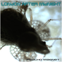 Psycho Magnet (feat. Sean Brennan)
